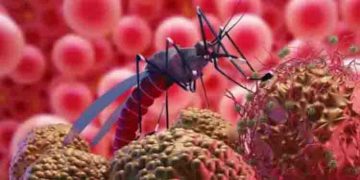 ജീവനു ഭീഷണിയാകുന്ന മലേറിയ; അറിയാതെ പോകരുത് ഈ ലക്ഷണങ്ങളെ…