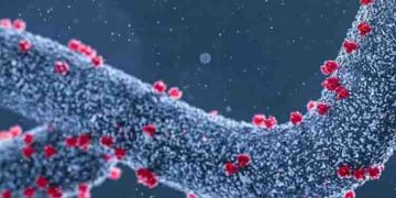 മാര്‍ബര്‍ഗ് വൈറസ്; ക്വാറന്റീൻ നിര്‍ദേശങ്ങള്‍ നല്‍കി യുഎഇ; അറിയാം ഈ ലക്ഷണങ്ങള്‍…