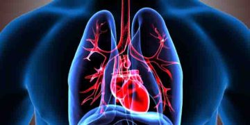 ശ്വാസകോശത്തിന്‍റെ ആരോഗ്യത്തിനായി ശ്രദ്ധിക്കേണ്ട ചില കാര്യങ്ങള്‍…