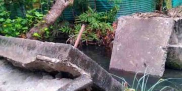 കോൺക്രീറ്റു നടപ്പാലം തകർന്നുവീണു; വീട്ടമ്മയുടെ കാല് കുടുങ്ങി പരിക്കേറ്റു