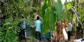 നവജാത ശിശുവിനെ കുഴിച്ചിട്ട് ഇതരസംസ്ഥാന ദ​മ്പതികൾ; മൃതദേഹം പുറത്തെടുത്ത് പരിശോധിക്കും