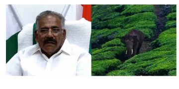 പിടിതരാതെ അരിക്കൊമ്പൻ, ദൗത്യത്തിൽ നിന്ന് പിന്മാറില്ലെന്ന് വനം മന്ത്രി