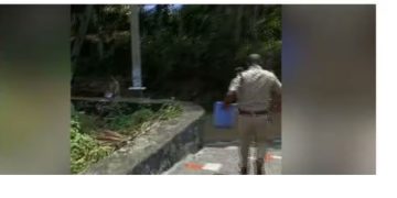 ചെങ്ങന്നൂരിൽ നവജാത ശിശുവിനെ ബക്കറ്റിൽ ഉപേക്ഷിച്ച നിലയിൽ കണ്ടെത്തി