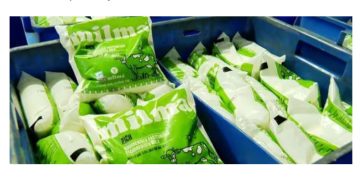 പാലിന് വില കൂട്ടി മിൽമ; വില കൂടുക, പച്ച മഞ്ഞ കവറിലുള്ള പാലിന്