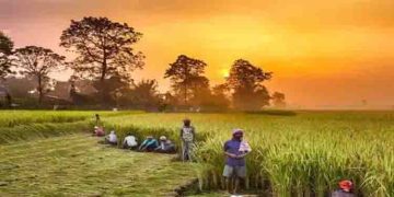 കർഷക ക്ഷേമത്തിന് 2000 രൂപ; പിഎം കിസാൻ സമ്മാൻനിധിയുടെ 14-ാം ഗഡുവിനായി ഇപ്പോൾ അപേക്ഷിക്കാം