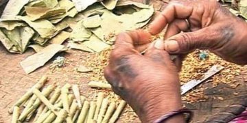 വ്യാജ ബീഡി വില്‍പ്പനയ്ക്കെതിരെ കര്‍ശന നടപടി വേണം