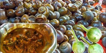 തരംഗമായി ആന്ധ്രപ്രദേശിലെ ഒച്ചുകറി; ധാരാളം ഔഷധഗുണങ്ങൾ ഉള്ളതെന്ന് പ്രദേശവാസികൾ