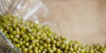 നല്ല കൊളസ്ട്രോളിന്റെ അളവ് കൂട്ടാൻ ഈ ഭക്ഷണങ്ങൾ കഴിക്കാം