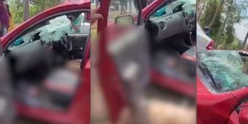 ഓടുന്ന കാറിന് മുകളിലേക്ക് മാൻ ചാടി; ഗ്ലാസ് തകർന്ന് യാത്രക്കാർക്ക് പരുക്ക്