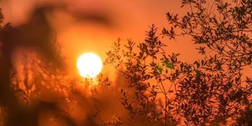 താപനില ഉയരും; അടുത്ത അഞ്ച് ദിവസം കടുത്ത ചൂടിന് സാധ്യത