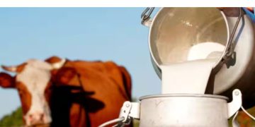 വെണ്ണ, നെയ്യ് തുടങ്ങിയ പാലുൽപ്പന്നങ്ങളുടെ ഇറക്കുമതി ഉണ്ടാകുമോ? ക്ഷീര കർഷകർക്ക് വിശദീകരണം നൽകി കേന്ദ്രം