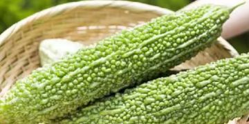 പാവയ്ക്ക കഴിച്ചാൽ ലഭിക്കുന്ന ആരോ​ഗ്യ​ഗുണങ്ങളിതാ…