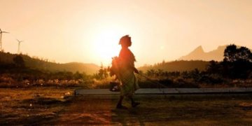 ചുട്ടുപൊള്ളി പാലക്കാടും മലപ്പുറവും; ഈ വർഷത്തെ ഏറ്റവും ഉയർന്ന ചൂട്‌