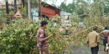 അടൂരിൽ ശക്തമായ കാറ്റും മഴയും; സ്കൂട്ടറിന് മുകളിൽ മരം ഒടിഞ്ഞു വീണ് ഒരു മരണം