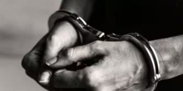 മണ്ണാർക്കാട് മ്ലാവ് വേട്ടക്കേസിൽ ഒളിവിൽ പോയ പ്രതികൾ പിടിയിൽ