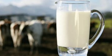 വേനൽച്ചൂട്​; പാൽ ഉൽപാദനം കുറഞ്ഞു