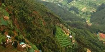 കൊട്ടക്കമ്പൂരിലെ തണ്ടപ്പേർ പരിശോധന: ടാക്സി വാടക മാസം 10,000 രൂപ ചെലവഴിക്കാൻ അനുമതി