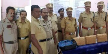 തിരുവനന്തപുരത്തും കണ്ണൂരും കായംകുളത്തും വൻ കഞ്ചാവ് വേട്ട; 20 കിലോയോളം പിടിച്ചു