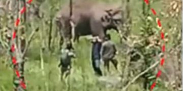 മിഷൻ‌ അരിക്കൊമ്പൻ; പൂർണ്ണമായി മയങ്ങിയ ശേഷം റേഡിയോ കോളർ ഘടിപ്പിക്കും; വടം കെട്ടി നിയന്ത്രണത്തിലാക്കും