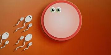 ലോകമെമ്പാടുമുള്ള 550 ല്‍ അധികം കുട്ടികളുടെ അച്ഛനായ ബീജ ദാതാവിന് വിലക്കേര്‍പ്പെടുത്തി കോടതി