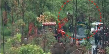 അരിക്കൊമ്പനെ മാറ്റുന്നത് കുമളിയിലെ സീനിയറോട വനമേഖലയിലേക്ക്: 144 പ്രഖ്യാപിച്ചു