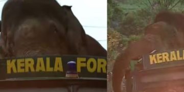 ഇനി സാഹസിക യാത്ര: ലോറിയിലും അരിക്കൊമ്പന്റെ പരാക്രമം, കൊണ്ടുപോകേണ്ടത് നൂറ് കിലോമീറ്ററിലേറെ ദൂരം