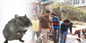 യു.പിയില്‍ എലിയെ ഓടയില്‍ മുക്കിക്കൊന്ന യുവാവിനെതിരെ പോലീസ് കുറ്റപത്രം