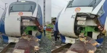 വന്ദേഭാരത് ഇടിച്ചുതെറിപ്പിച്ച പശു ദേഹത്ത് വീണ് മുന്‍ റെയില്‍വെ ജീവനക്കാരന്‍ മരിച്ചു