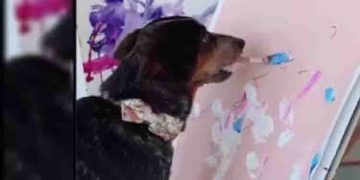 ഉടമയെ വരക്കാൻ ശ്രമിക്കുന്ന നായ? വൈറലായി വീഡിയോ