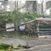 കല്പറ്റയില് ബസ് സ്റ്റോപ്പിന് മുകളില് മരം വീണു ; വിദ്യാര്ത്ഥിക്ക് ഗുരതര പരിക്ക്