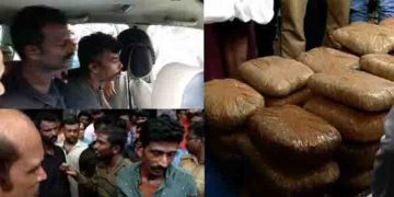 തിരുവനന്തപുരം കണ്ണേറ്റുമുക്കിൽ 100 കിലോയോളം കഞ്ചാവുമായി 4 പേർ പിടിയിൽ; ഒപ്പമുണ്ടായിരുന്ന സ്ത്രീ രക്ഷപ്പെട്ടു