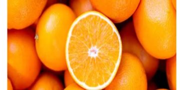 ഓറഞ്ച് കഴിച്ചാൽ ലഭിക്കുന്ന ആരോ​ഗ്യ​ഗുണങ്ങളിതാ…