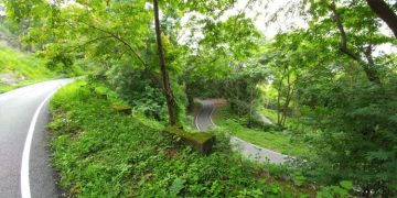 വാഴച്ചാല്‍- മലക്കപ്പാറ റൂട്ടില്‍ നാളെ മുതല്‍ ഗതാഗത നിയന്ത്രണം