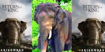 റിട്ടേണ്‍ ഓഫ് ദി കിംഗ് ; അരിക്കൊമ്പന്‍റെ പുതിയ പോസ്റ്റര്‍ അണിയറക്കാര്‍ പുറത്തിറക്കി