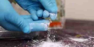 പിടിച്ചെടുത്തത് എംഡിഎംഎ എന്ന് പൊലീസ്, അല്ലെന്ന് ലാബ് റിപ്പോർട്ട്; യുവാക്കൾ ജയിലിൽ കിടന്നത് നാലുമാസം, വിവാദം