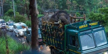 3 ദിവസത്തിനുള്ളിൽ 30 കിലോമീറ്റർ സഞ്ചരിച്ചു; അരിക്കൊമ്പൻ തമിഴ്നാട് അതിർത്തിയിൽ