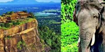 ‘അരിക്കൊമ്പന്‍റെ’ ഷൂട്ടിംഗ് ഒക്ടോബറിൽ; ചിത്രീകരണം ശ്രീലങ്കയിലെ സിഗിരിയയിൽ