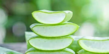 മുഖസൗന്ദര്യത്തിന് കറ്റാർവാഴ ഇങ്ങനെ ഉപയോ​ഗിക്കൂ