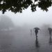 മഴക്ക് സാധ്യത; ഇന്ന് മൂന്ന് ജില്ലകളിൽ യെല്ലോ അലർട്ട്