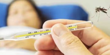 ഡെങ്കിപ്പനിയെ പ്രതിരോധിക്കാം; ചെയ്യേണ്ട കാര്യങ്ങള്‍…