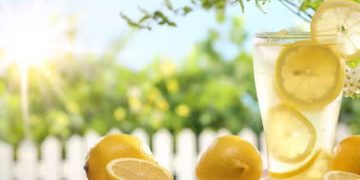 ദിവസവും കുടിക്കാം നാരങ്ങാ വെള്ളം; അറിയാം ഈ ആരോഗ്യ ഗുണങ്ങള്‍…