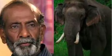 അരിക്കൊമ്പന് ഫാൻസുണ്ട്, എനിക്കില്ല, എന്തൊരു കഷ്ടമാണ്: ടി ജി രവി