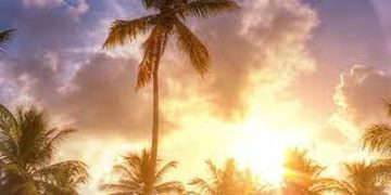 സംസ്ഥാനത്ത് നാലു ഡിഗ്രി വരെ അധിക ചൂടിന് സാധ്യത ; ആറു ജില്ലകളില്‍ മഞ്ഞ അലര്‍ട്ട്