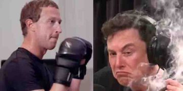 തല്ലിന് വെല്ലുവിളിച്ച് മസ്ക്, സ്വീകരിച്ച് സക്കർബർ​ഗ്