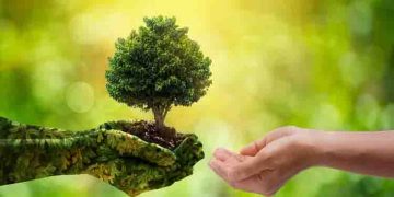 ഇന്ന് ലോക പരിസ്ഥിതി ദിനം