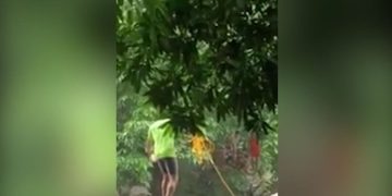 മാർമല അരുവിയിൽ കുടുങ്ങിയ വിനോദസഞ്ചാരികളെ രക്ഷപ്പെടുത്തി