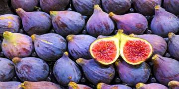 അറിയാം അത്തിപ്പഴത്തിന്‍റെ ആരോഗ്യ ഗുണങ്ങള്‍…