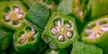 ദിവസവും ഡയറ്റില്‍ ഉള്‍പ്പെടുത്താം വെണ്ടയ്ക്ക; അറിയാം ഈ ആരോഗ്യ ഗുണങ്ങള്‍…