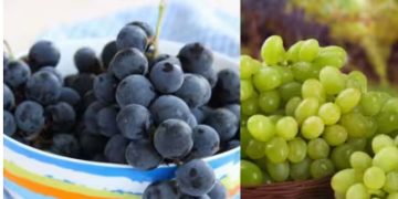 മുന്തിരി ഇഷ്ടപ്പെടുന്നവരാണോ? എങ്കിൽ ഇക്കാര്യം അറിഞ്ഞിരിക്കണം