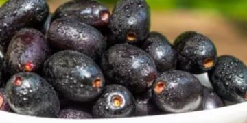 ഞാവല്‍ കഴിക്കാൻ ഇഷ്ടമാണോ? എങ്കില്‍ നിങ്ങളറിയേണ്ടത്…